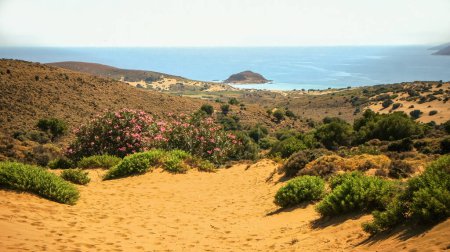 Téléchargez les photos : Les dunes de sable situées dans le désert de Gomati sur Lemnos ou Limnos île grecque dans la mer Égée. - en image libre de droit