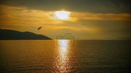 Téléchargez les photos : Beau coucher de soleil nuageux foncé dans la mer avec silhouette d'oiseau. - en image libre de droit
