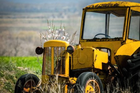 Téléchargez les photos : Ancien tracteur abandonné vintage jaune antique sur le terrain, bonjour arbre à fleurs de printemps. - en image libre de droit
