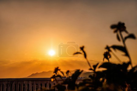 Téléchargez les photos : Vue panoramique sur le coucher du soleil depuis le balcon, silhouette arbre et fleurs, gabarit de fond. - en image libre de droit