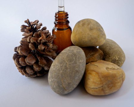 Photo for Natural herbal essential fresh oil being collected with a pipette - Royalty Free Image