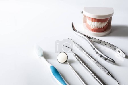 Téléchargez les photos : Gros plan du modèle de dent ou de dents et de l'instrument ou de l'équipement dentaire sur une table blanche propre à l'intérieur d'une clinique dentaire à l'hôpital. Miroir buccal dentaire, séparateur Gigival et sonde pour le mal de dent ou l'orthodontie. - en image libre de droit