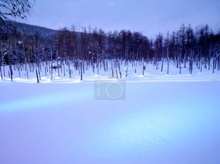 Photo for Hokkaido,Japan - February 26, 2023: Illuminated Blue Pond or Aoi ike in Biei, Hokkaido, Japan - Royalty Free Image