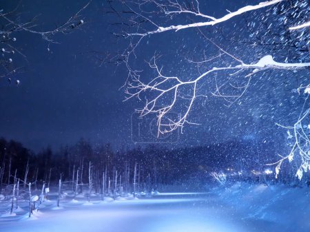 Téléchargez les photos : Hokkaido,Japan - February 26, 2023: Illuminated Blue Pond or Aoi ike in Biei, Hokkaido, Japan - en image libre de droit