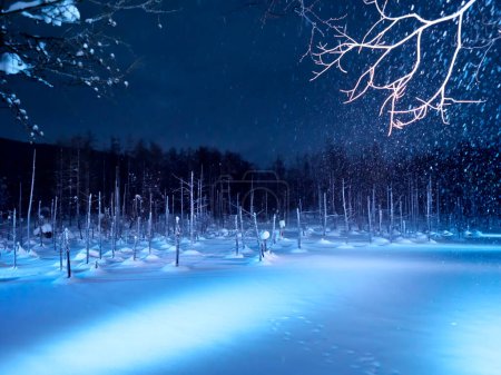 Téléchargez les photos : Hokkaido, Japon - 26 février 2023 : Etang Bleu Illuminé ou Aoi ike à Biei, Hokkaido, Japon - en image libre de droit