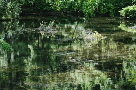 Photo for Hokkaido, Japan - June 11, 2023: Beautiful Kaminoko Pond in Hokkaido, Japan - Royalty Free Image