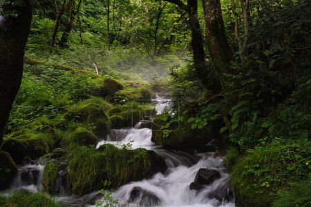 Photo for Tottori,Japan - July 11, 2023: Kitanizawa stream at the foot of Daisen mountain in Tottori, Japan - Royalty Free Image