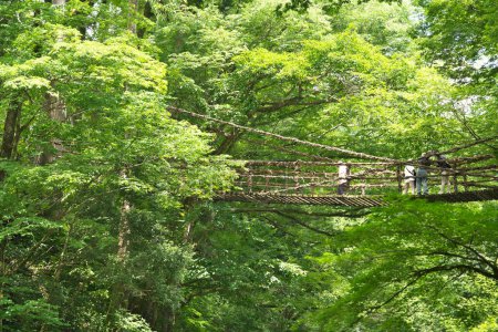 Photo for Toyama, Japan - July 16, 2023: Vine bridge or Kazura bridge. A suspension bridge made of the plant called Shirakuchikazura. - Royalty Free Image