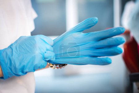 Photo for Close up of female doctors hands putting on blue sterilized surgical gloves in the office. - Royalty Free Image