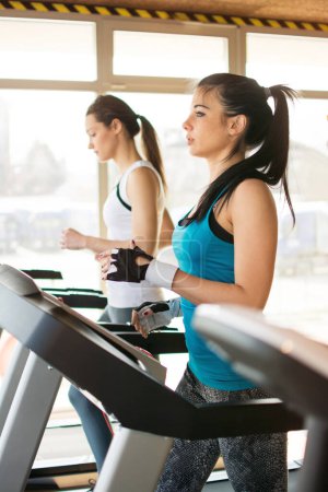 Photo for Young women running on treadmill in gym. - Royalty Free Image