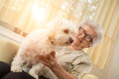 Happy elderly woman patting her small Maltese dog at home