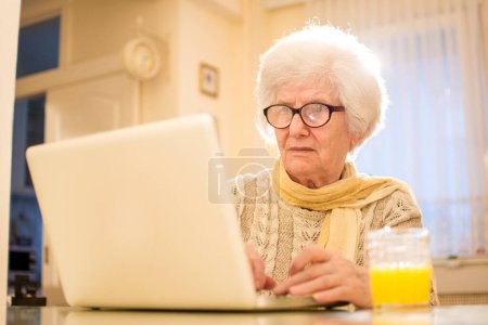 Photo for Senior businesswoman using laptop at home - Royalty Free Image