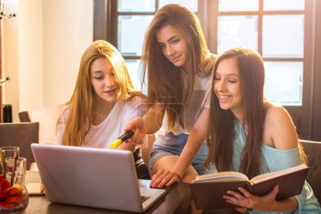 Téléchargez les photos : Étudiants du secondaire apprenant avec ordinateur portable et livres ensemble - en image libre de droit