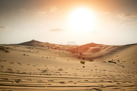 Téléchargez les photos : Beau coucher de soleil dans le désert du Sahara. Dunes de sable au coucher du soleil
. - en image libre de droit