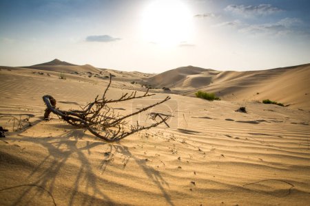 Téléchargez les photos : Magnifique coucher de soleil dans le désert. - en image libre de droit