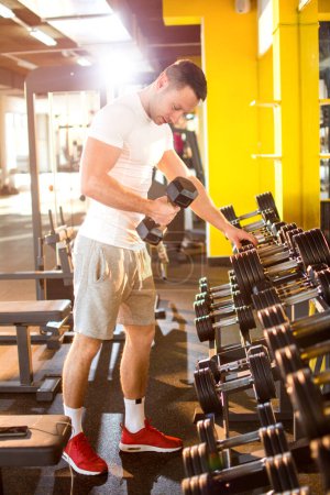 Photo for Confident young man choosing weight for exercising in gym - Royalty Free Image