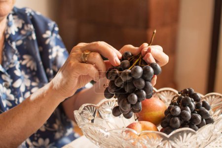 Photo for Close up of old womans hands holding bunch of grapes - Royalty Free Image