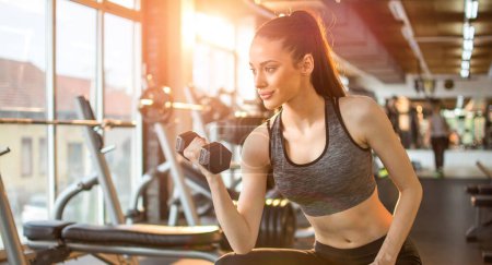 Téléchargez les photos : Jeune femme sportive active flexion des muscles avec haltère assis sur un banc de musculation dans la salle de gym - en image libre de droit