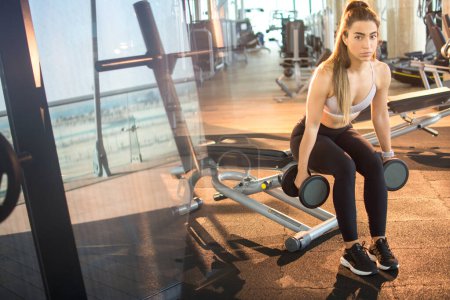 Téléchargez les photos : Belle jeune femme en forme assise sur le banc d'exercice et les muscles fléchissants avec haltères à la salle de gym - en image libre de droit