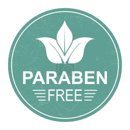 Illustration for Paraben Free Badge, Stamp, A Group of Synthetic Chemicals, Emblem, Logo, Label For Health and Medical, Skincare, Cosmetic Product, Packaging Design Elements Vector Illustration - Royalty Free Image
