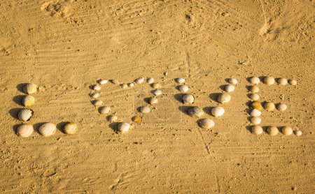 Téléchargez les photos : Top view of word love written with seashells on sand at the beach and letter O with a heart shape to celebrate a special occasion like Valentine Day - en image libre de droit