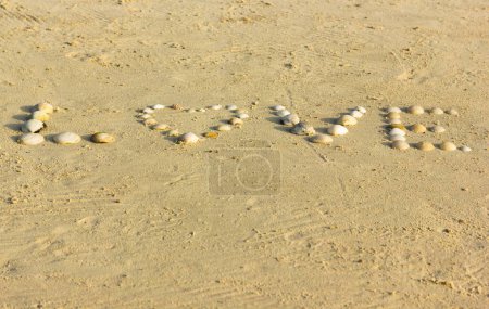 Téléchargez les photos : Top view of word love written with seashells on sand at the beach and letter O with a heart shape to celebrate a special occasion like Valentine Day - en image libre de droit