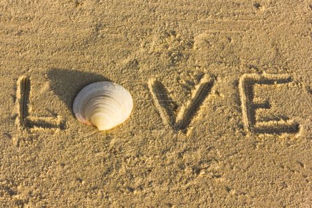 Téléchargez les photos : Love word written on the sand at sunset with letter O made with a big sea shell. Ideal expression for Valentine Day - en image libre de droit