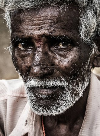 Téléchargez les photos : Portrait of elder Indian man with intense, deep look in his eyes, red bindi dot between them and white beard. Close up on old man with honesty, humble expression - en image libre de droit