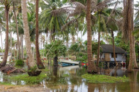 Téléchargez les photos : Champ inondé avec des palmiers et un petit bateau et une maison dans l'île de Koh Phangan, Thaïlande. Saison Moonson, sinistre, sinistre - en image libre de droit