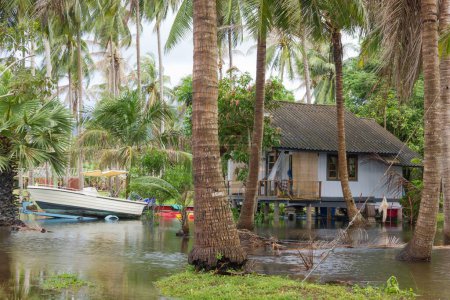 Photo for Flooded field with palm trees and a small boat and a house in the island of Koh Phangan, Thailand. Moonson season, insurance claim, disaster damage concepts - Royalty Free Image