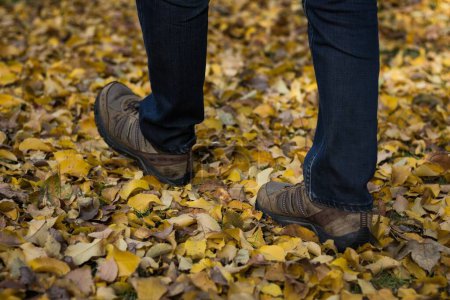 Foto de De cerca en los pies del hombre con zapatos marrones, jeans azules oscuros caminando sobre hojas amarillas y marrones en el parque. Otoño temporada moda concepto de ventas - Imagen libre de derechos