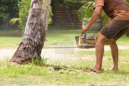 Foto de Hombre en pantalones cortos con una motosierra cortando el tronco de una palmera. Cortador de leña, leñador - Imagen libre de derechos