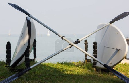 Two white paddle boards for rent lying vertically on the grass and two oars crossed by the sea in the island of Koh Phangan, Thailand. Summer popular water sport concept
