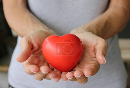 Foto de Corazón rojo en las manos de la mujer. Dar vida, donación de sangre, conceptos de fundación caritativa - Imagen libre de derechos