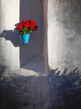 Foto de Flores rojas sobre el fondo blanco
. - Imagen libre de derechos