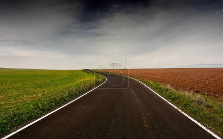 Photo for Road in the countryside, autumn landscape. - Royalty Free Image