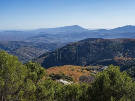 Mediterranean forest in yunquera, sierra de las nieves, malaga