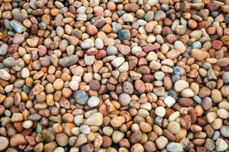 Foto de Coloridas piedras cerca de Kovalam Beach, Kerala, India - Imagen libre de derechos