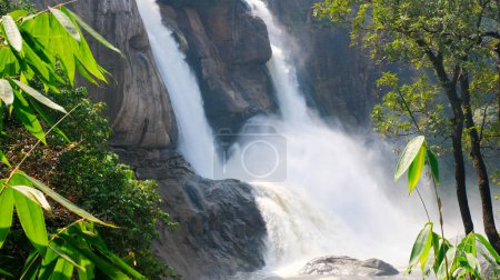 Foto de Athirappilly Falls - Primer plano. Kerala India - Imagen libre de derechos