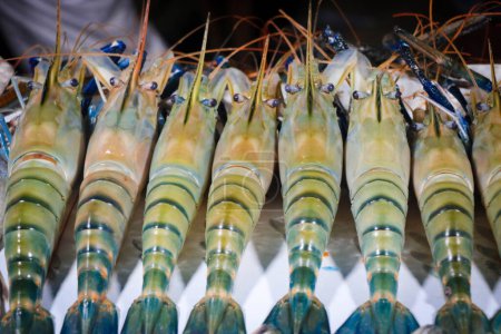 Téléchargez les photos : Grandes crevettes comme délicieux fruits de mer sur les marchés de Kuakata Sea Beach, Bangladesh - en image libre de droit