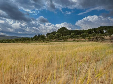 Photo for Castilla la Mancha - Albacete - Parque natural de las Lagunas de Ruidera, paisajes y entorno natural - Royalty Free Image