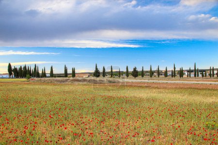 Téléchargez les photos : Castilla la Mancha - Albacete - Parque natural de las Lagunas de Ruidera, paisajes y entorno natural - en image libre de droit