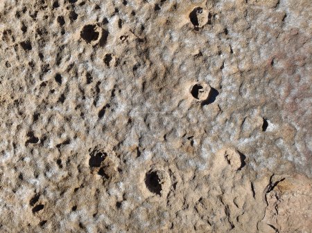 Photo for Detalle textura de roca con crateres - Royalty Free Image