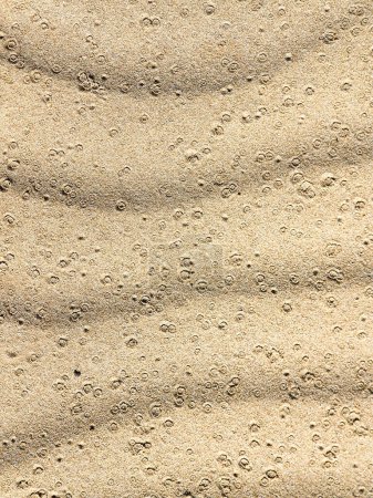 Foto de Formacion de ondas en la arena con marcas de lluvia - Imagen libre de derechos