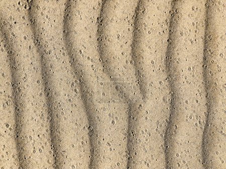 Foto de Formacion de ondas en la arena con marcas de lluvia - Imagen libre de derechos