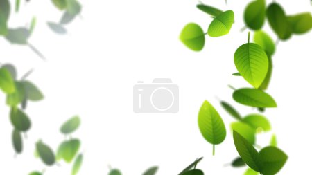 Flying green leaves on white background