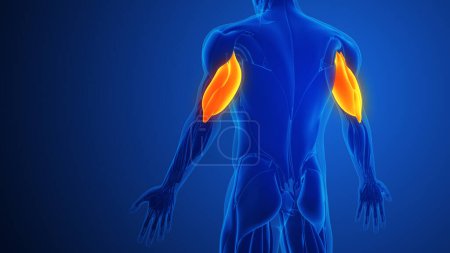 Trizeps-Muskelschmerzen mit blauem Hintergrund