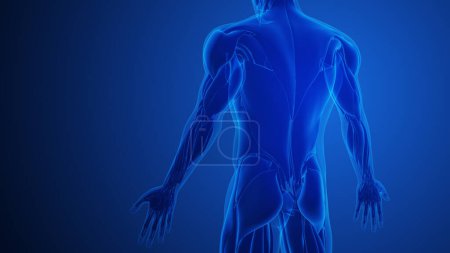Trizeps-Muskelschmerzen mit blauem Hintergrund