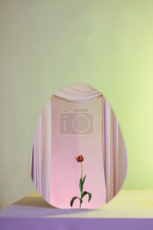 Photo for Flower reflection in a round organic mirror, pastel color grade - Royalty Free Image