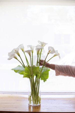 Photo for Old lady hands with a cala bouquet - Royalty Free Image